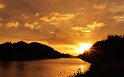 Meraki zomeractie – Golden Hour shoot